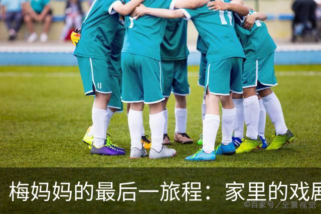 梅妈妈的最后一旅程：家里的戏剧与悲喜交织